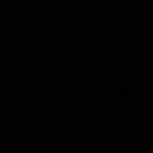 Meet your Posher, Chanel